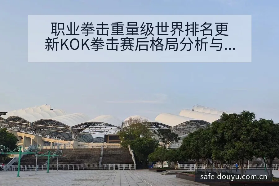 职业拳击重量级世界排名更新KOK拳击赛后格局分析与主要 - 斗鱼